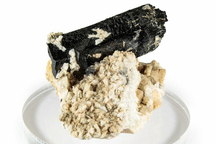 Lustrous Black Tourmaline (Schorl) Crystal on Feldspar - Namibia #348769